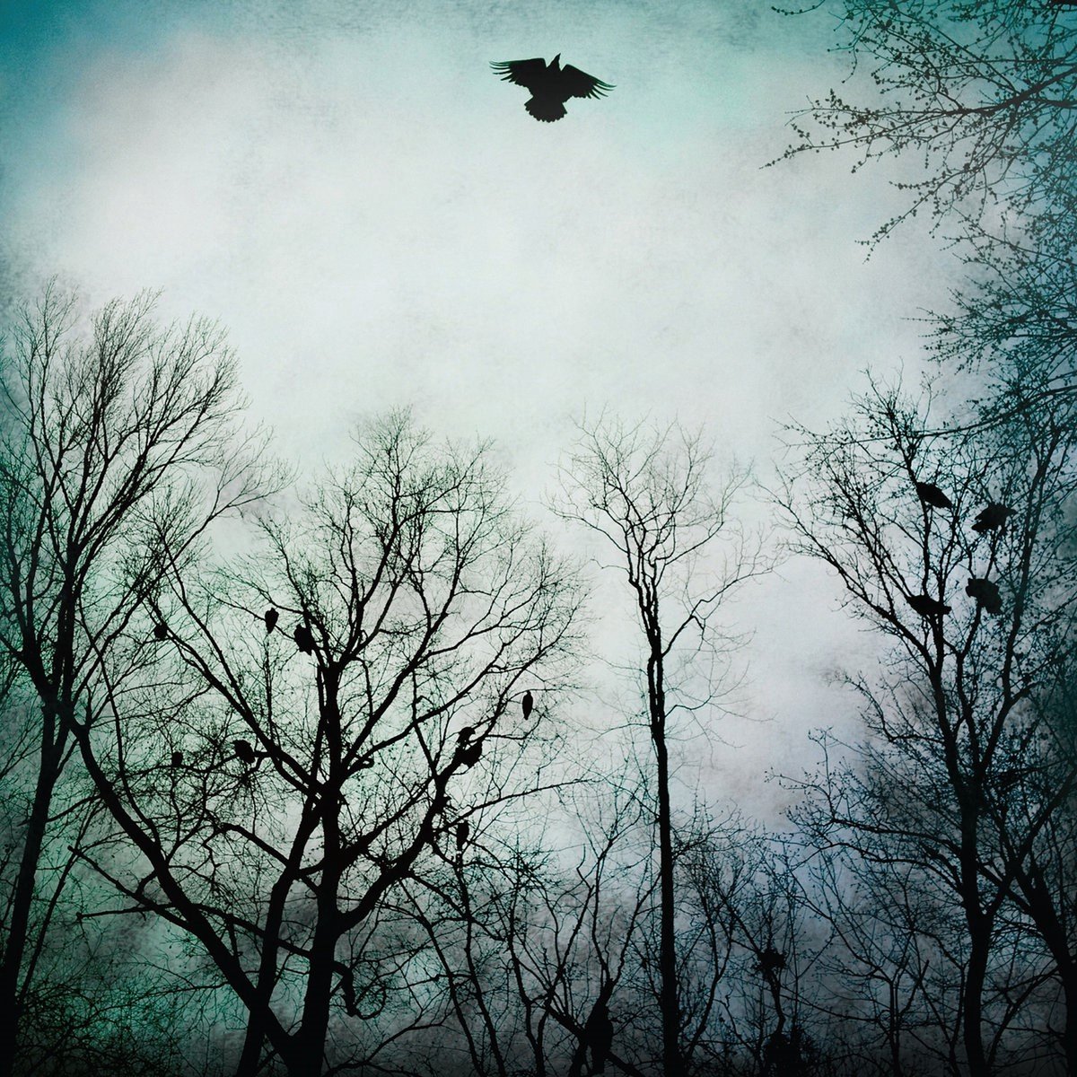 Over The Ocean - Be Given To The Soil (2 LP) (Limited Edition) (Coloured Vinyl)