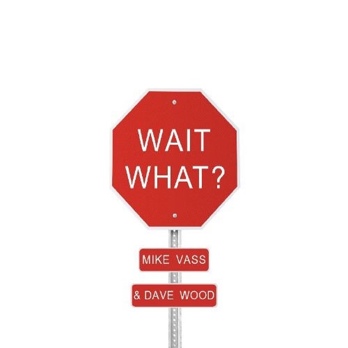 Mike Vass & Dave Wood - Wait What? (CD)