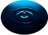 PVC Schuimplaat Ovaal - Druppel Vallend op Wateroppervlak - 28x21 cm Foto op Ovaal (Met Ophangsysteem)