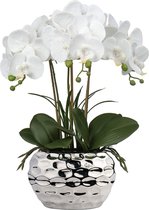 44 cm kunstorchideeÃ«n, phalaenopsis, kunstbloemen, zoals echte decoratieve orchidee, bonsai, kunstplant, arrangement in keramische pot, voor tafel, woonkamer, wooncultuur, decoratie