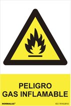 Bord Normaluz Peligro Gas Inflamable PVC (30 x 40 cm)