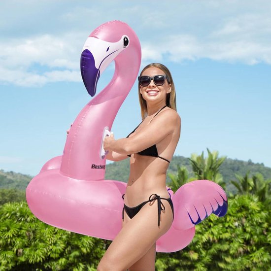 Bestway Luxe Rijdbare Zwembad Flamingo - Bestway
