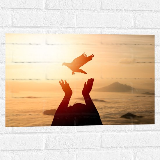 Muursticker - Vrijgelaten Vogel uit Mensen Handen bij de Zee tijdens Felle Zon - 60x40 cm Foto op Muursticker