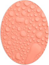 PVC Schuimplaat Ovaal - Waterdruppels op Zalmroze Achtergrond - 60x80 cm Foto op Ovaal (Met Ophangsysteem)