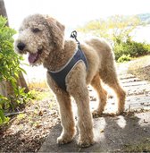 Opruiming! Honden Borstvest-Veiligheidsvest-Borstband voor Huisdieren-Reflecterende Veiligheidsjasje-Goede Kwaliteit-Bull Hond/Teddy/Kleine Honden-Blauw- Maat S (Buste 40.6-45.7cm)