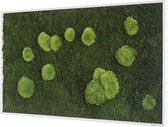 Stylegreen Verticale tuin - Forest & Pole moss - 100 x 60cm