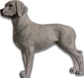 Weimaraner Hond (Dog), hondenbeeldje, figuur