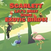 Scarlett Let's Meet Some Exotic Birds!