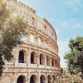Schilderij - Colosseum Rome, 3 maten, premium print