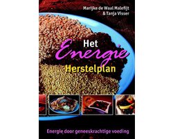 Het Energie Herstelplan