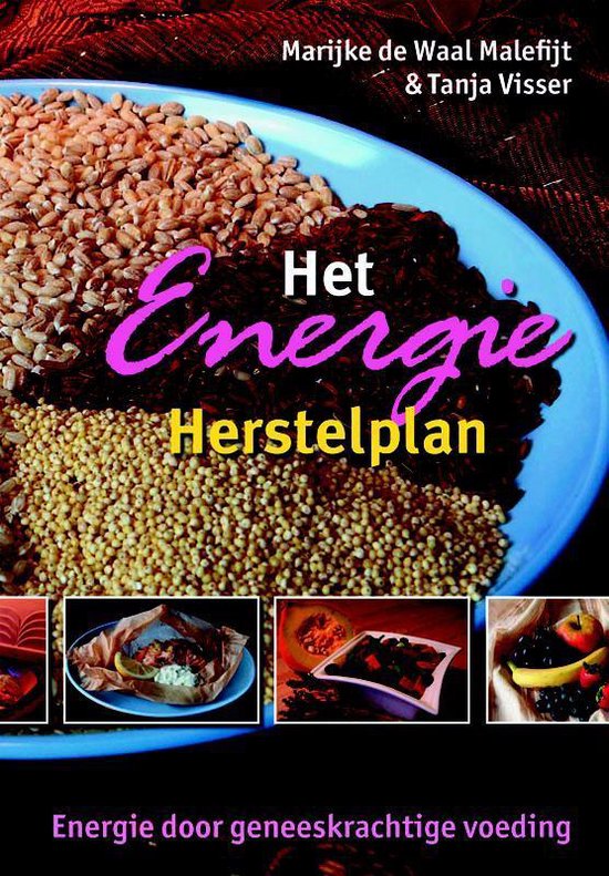 Het Energie Herstelplan - cover