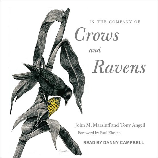 In the Company of Crows and Ravens - cover