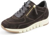 DLSport 4826 BRUIN