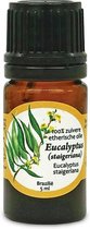 Aromama Etherische Olie Eucalyptus Staigeriana 5 Ml Vegan