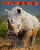 White Rhinoceros