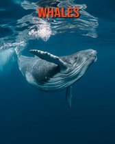 Whales