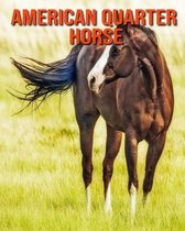 American Quarter Horse