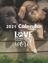 2021 Calendar: Love Is A Four Legged Word