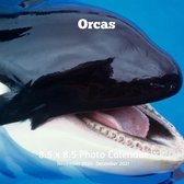 Orcas 8.5 X 8.5 Calendar November 2020 -December 2021