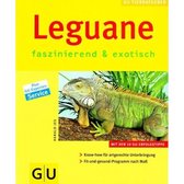 Leguane faszinierend & exotisch