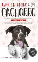 Entrenar a un Cachorro