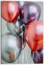 Dibond - Tros Ballonnen  - 40x60cm Foto op Aluminium (Met Ophangsysteem)