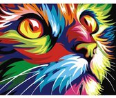 Painting Expert® Schilderen op nummer Volwassenen - Schilderen op nummer Kinderen - Kattenhoofd - 40x50cm - Exclusief Lijst (24 kleurtjes)