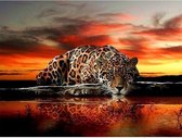 Diamond painting luipaard - 50x40 - full - vierkante steentjes