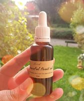 Biologische olie voor gezicht, serum, met fruit olie, frambozen olie, camellia olie, bessen en acai olie, pomegranate olie, anti-age, verstevigend gezicht olie, heldere tint 30ml