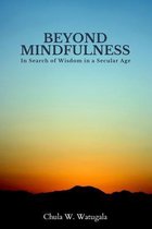Beyond Mindfulness