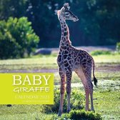 Baby Giraffe Calendar 2021