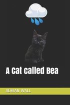 A Cat called Bea