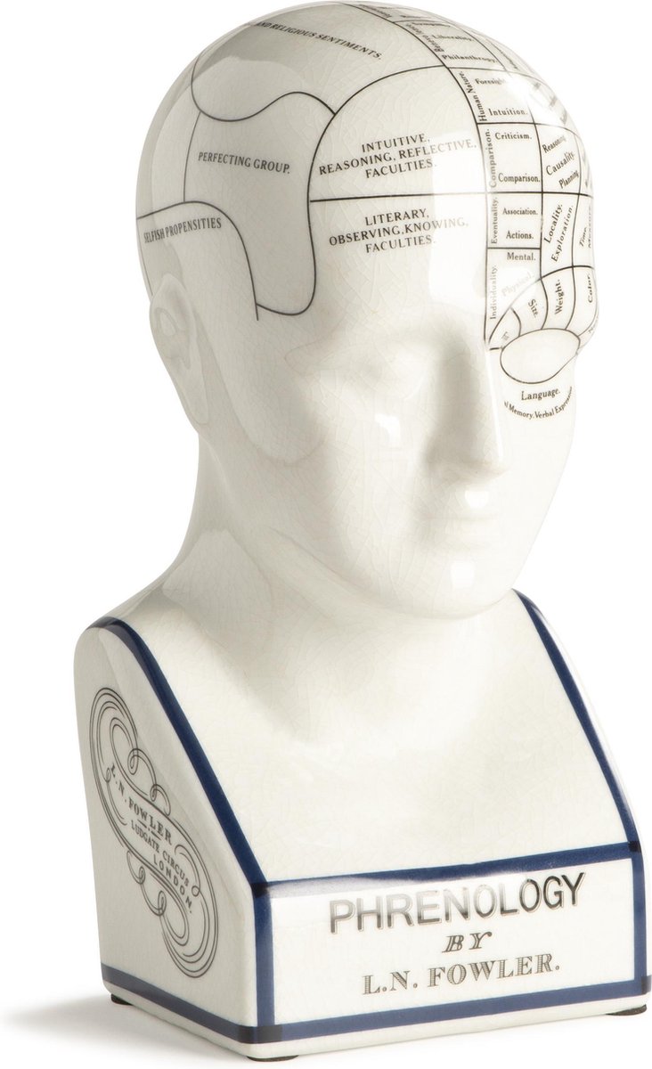 Authentic Models - Frenologie hoofd - 30,4CM - Porselein - Phrenology Head