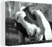 Curious Goat Canvas 2cm 80x60 cm - Tirage Photo sur Toile Peinture (Décoration murale Salon / Chambre) / Peintures sur Toile Animaux de la ferme