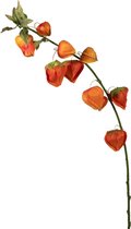 Viv! Home Luxuries Lampionplant - zijden bloem - oranje - 102cm