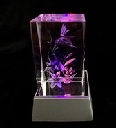 Kristal glas laserblok met 3D afbeelding van Kolibrie + verlichting .