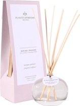 Plantes & Parfums  Natuurlijke My Lovely Orange Tree Natuurlijke Geurstokjes I Interieurparfum I Bloemige Geur I 100ml