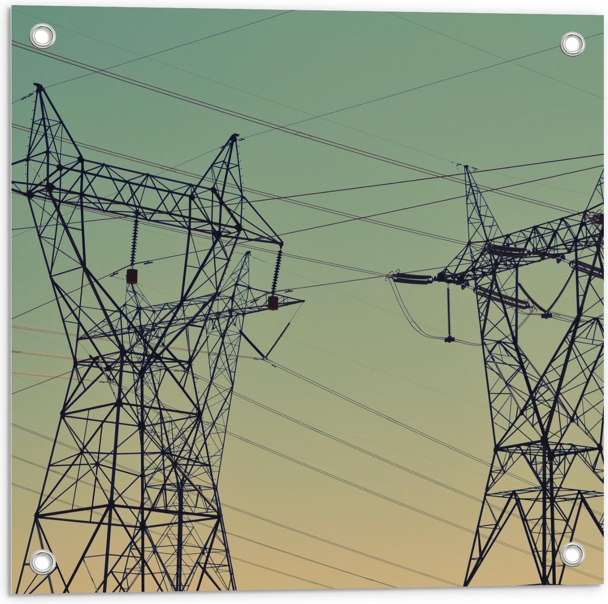 Tuinposter – Elektriciteit palen - 50x50cm Foto op Tuinposter (wanddecoratie voor buiten e