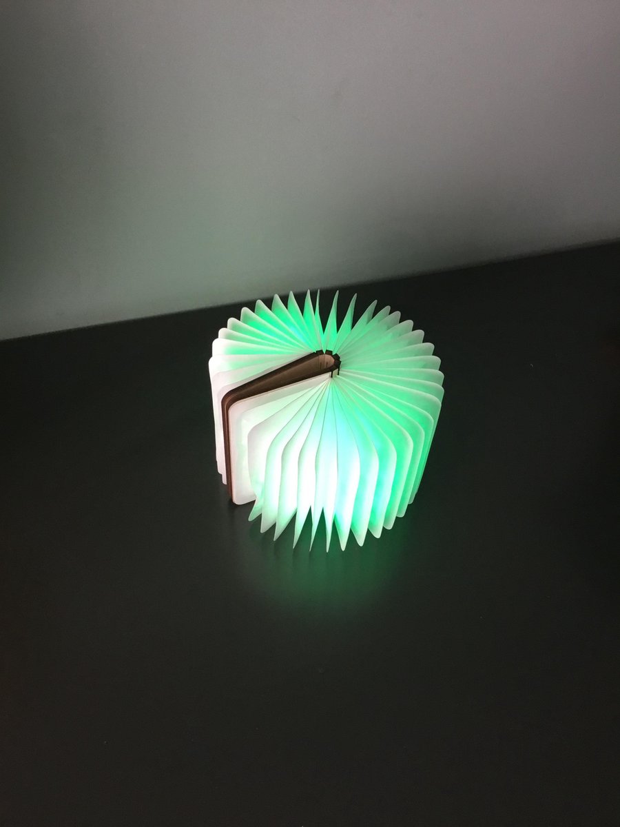 LED booklamp mini - Esdoornhout en karton