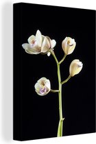 Canvas Schilderij Een tak met orchideeën op een zwarte achtergrond - 60x80 cm - Wanddecoratie