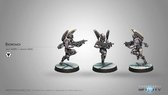 Aleph Ekdromoi, HMG