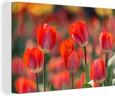 Canvas Schilderij Een close-up van rode tulpen - 60x40 cm - Wanddecoratie