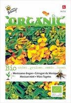 Buzzy® Organic Tagetes Lucida (BIO)