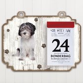 Scheurkalender 2023 Hond: Nederlandse Schapendoes