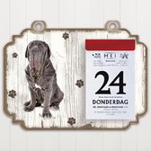 Scheurkalender 2023 Hond: Mastino Napoletano