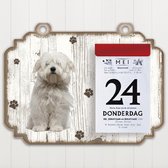 Scheurkalender 2023 Hond: Corton De TulÃ©ar