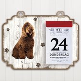 Scheurkalender 2023 Hond: Barbet