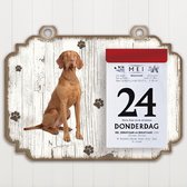 Scheurkalender 2023 Hond: Vizsla Korthaar