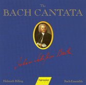 Bach Kantate, Vol. 29