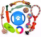 10-Delige Honden Speelgoed set - Puppy speelgoed - Hondenspeelgoed - Hondenspeeltjes - Goed Voor De Ontwikkeling en Gezondheid Van Je Hond